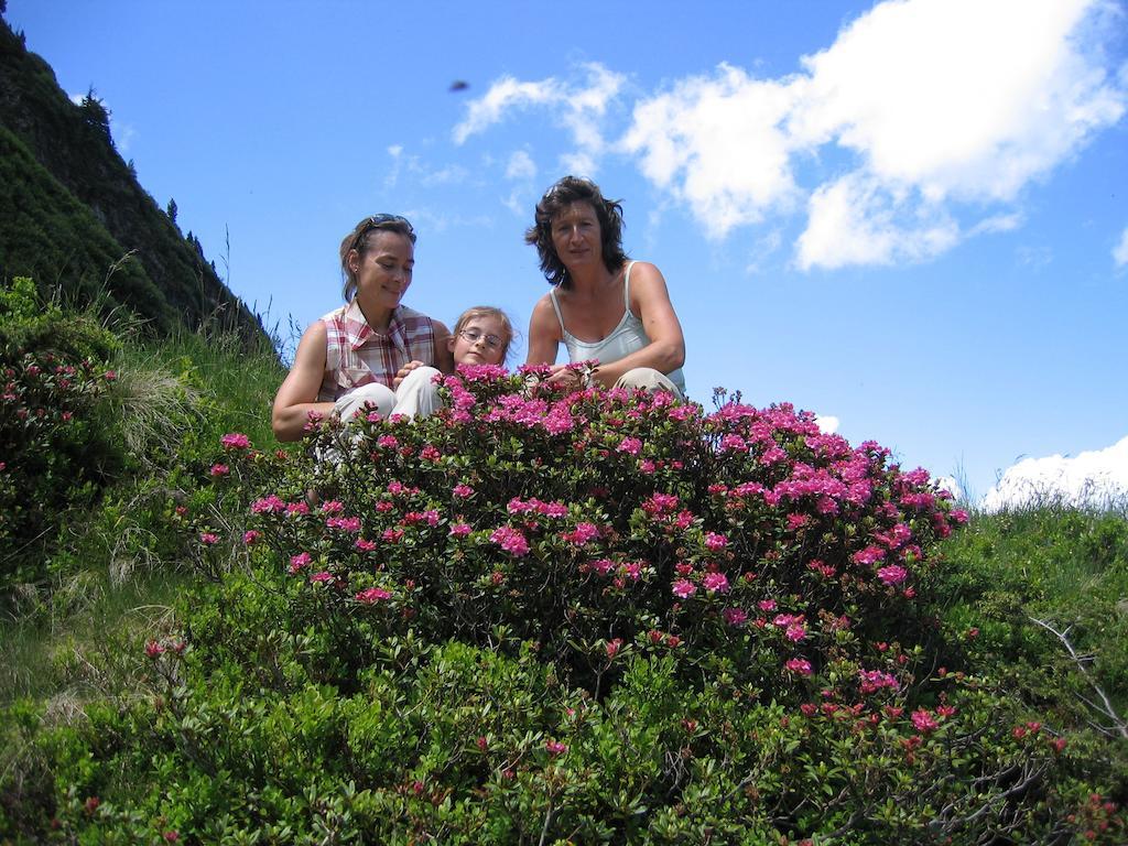Bauernhof Haim-Schnepfleitner Pichl bei Aussee Exterior foto